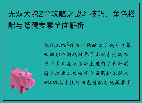 无双大蛇Z全攻略之战斗技巧、角色搭配与隐藏要素全面解析